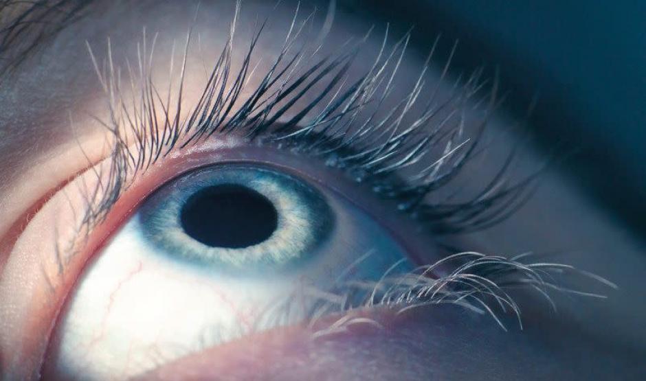 Restauran la conciencia de un hombre que estuvo 15 a&ntilde;os en estado vegetativo. (Foto: es.gizmodo.com)