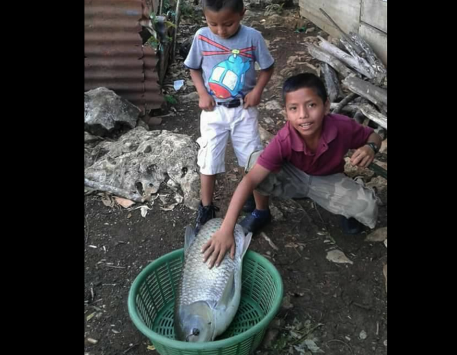 Los ni&ntilde;os salieron a pescar como lo hac&iacute;a su padre. (Foto: Facebook/San Luis Pet&eacute;n Canal 6)