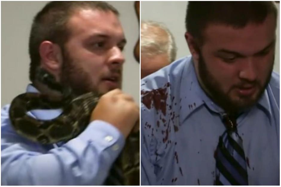 El osado pastor trataba con desprecio al animal que respondi&oacute; al maltrato. (Captura Video)