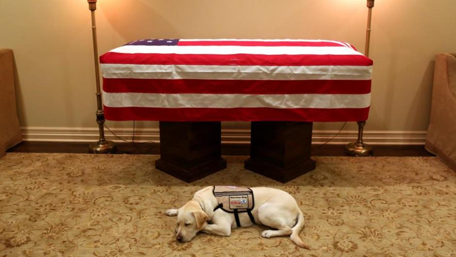 Esta es la foto compartida en Twitter donde se observa a Sully descansado frente al ata&uacute;d de quien fue su amo el presidente 41 de Estados Unidos, George H.W. Bush. (Foto: Jim McGrath)&nbsp;