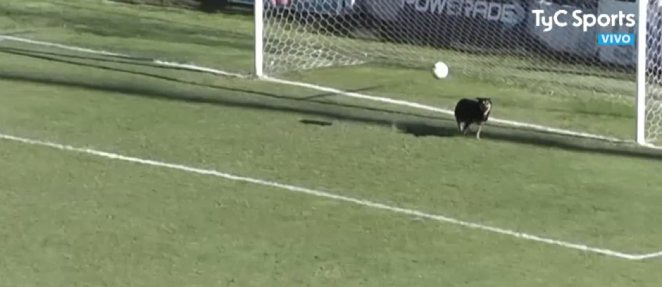 El Bobby en sus diez segundos de fama. (Foto:Youtube)