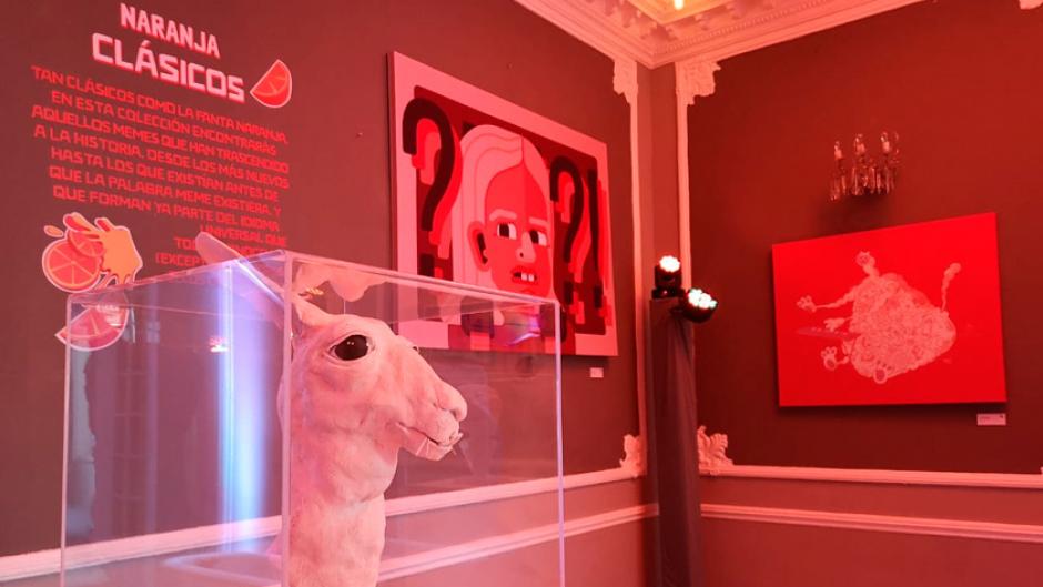 Por 3 d&iacute;as estar&aacute; disponible esta original exposici&oacute;n de memes en M&eacute;xico (Foto: oronoticias)