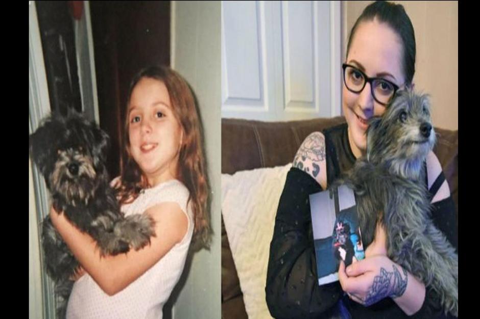 La historia ha conmovido a los amantes de las mascotas por el peculiar reencuentro. (Foto: La Nación)