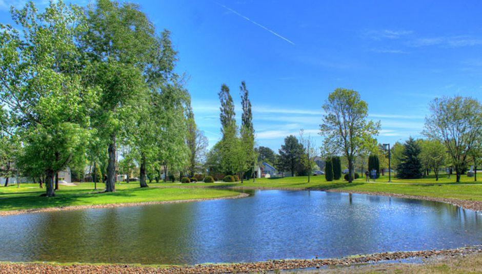 Los usuarios est&aacute;n confundidos por una foto que luce como un estanque.&nbsp; (Foto: goodfreephotos)&nbsp;