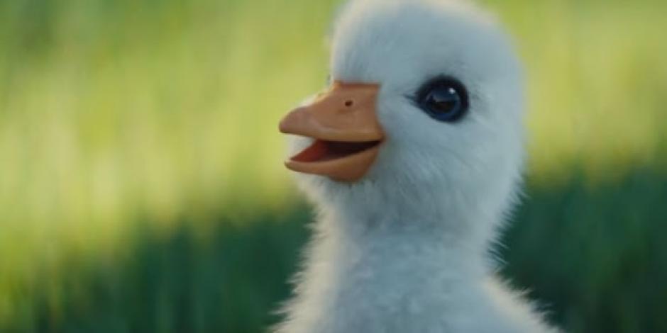 El gran protagonista es un patito que desea imitar al Pato Donald. (Foto: YouTube)