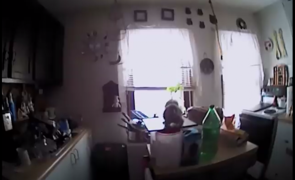 Los agentes se enfrentaron a un "temible" animal. (Foto: captura pantalla)&nbsp;