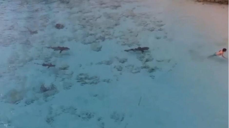 Se zambull&oacute; en las aguas cristalinas del Caribe sin percibir el peligro al acecho. Un drone lo salv&oacute;. (Foto: Infobae)