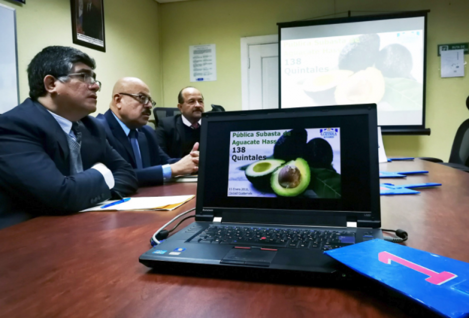 Ning&uacute;n postor puj&oacute; para comprar los 138 quintales de aguacate subastados. (Foto: Senabed)