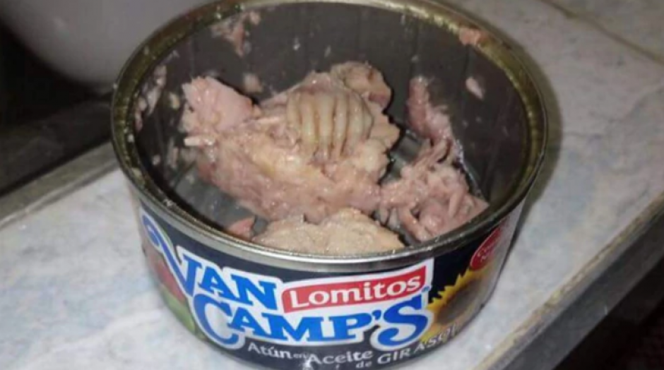 Un usuario comparti&oacute; im&aacute;genes de su descubrimiento y denunci&oacute; que se trata de una peque&ntilde;a garra de un animal, lo que conmocion&oacute; a las redes. (Foto: Infobae)