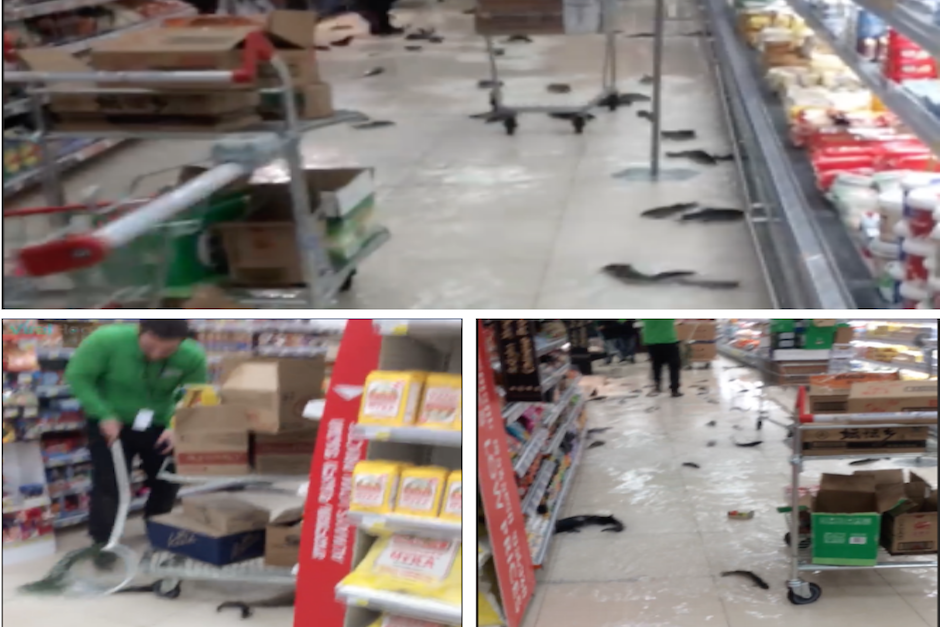 Los peces nadaron y saltaron sobre el piso del lugar tratando de salvar su vida. (Imagen: Soy502)