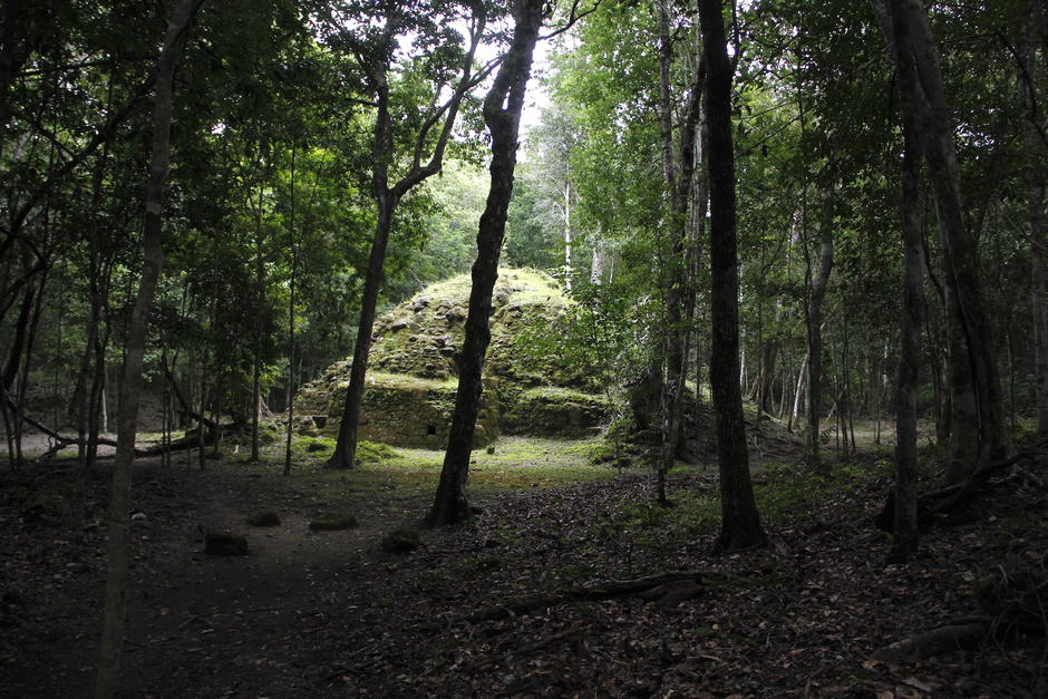 Los hallazgos han sorprendido a muchas personas y esperan nuevos descubrimientos de la civilización maya. (Foto: Fredy Hernández/Soy502)