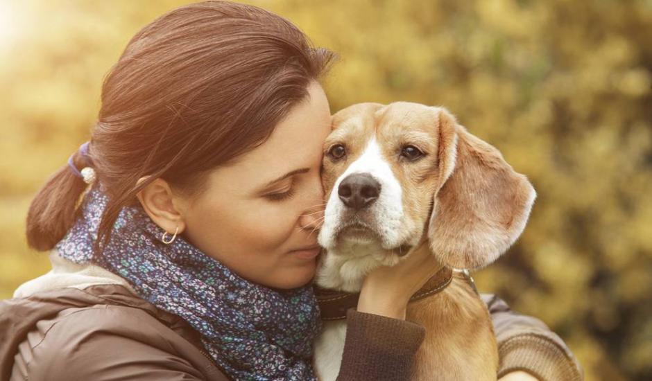 Estos servicios funerarios para mascotas te dan la oportunidad de dar una digna despedida al peque&ntilde;o compa&ntilde;ero de tu vida. (Foto: La Tribuna de Salamanca)