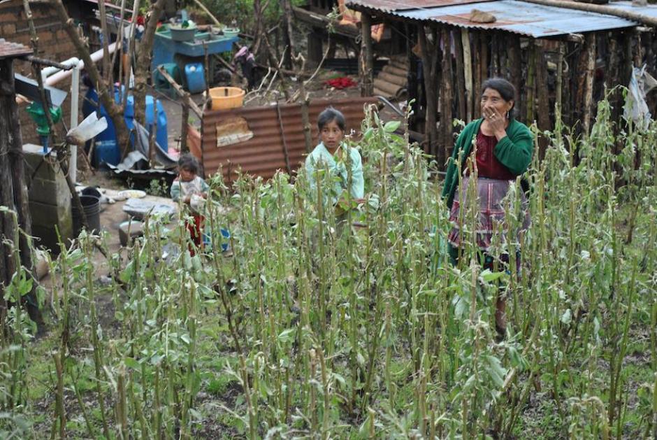 Los más pobres, especialmente los niños, son quienes sufren las consecuencias de la corrupción. (Foto: Archivo Nuestro Diario)