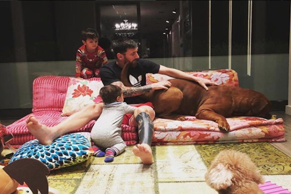 Messi y su esposa suelen subir periódicamente imágenes de su perro "Hulk". (Foto: Instagram/antoroccuzzo88)
