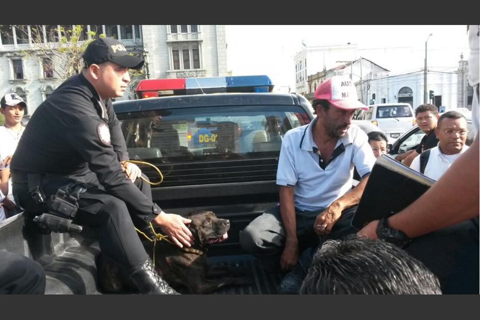 El perro y su dueño fueron llevados a la Torre de Tribunales. (Foto: PNC)&nbsp;