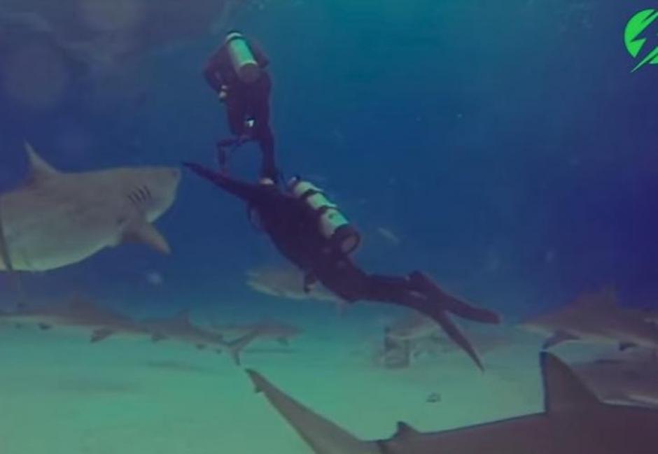 El incidente ocurri&oacute;n en Bahamas en 2014. (Foto: captura de pantalla)