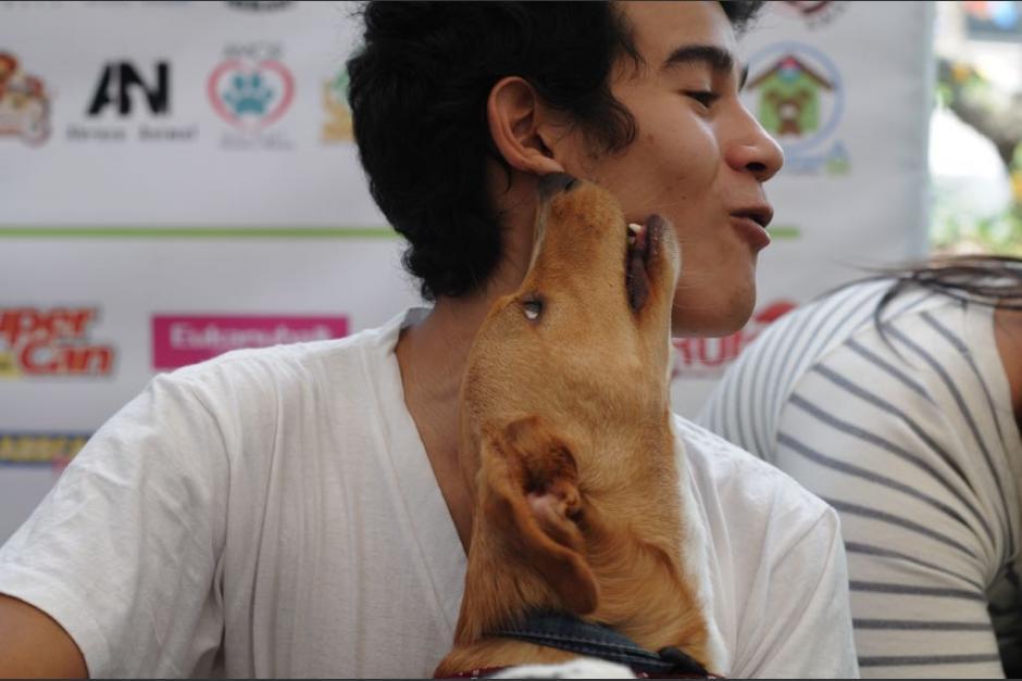 Las mascotas son amigos inseparables y nunca te dejar&aacute;n solo. (Foto: Archivo/Soy502)