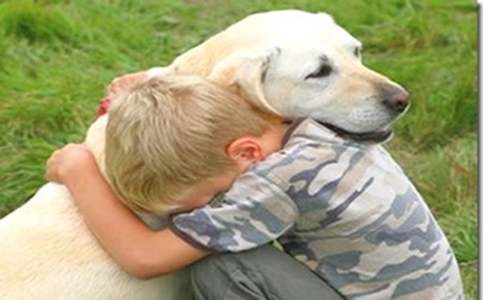 Un estudio revel&oacute; que los perros sienten el dolor de sus due&ntilde;os e intentan consolarlos. (Foto: Instagram)