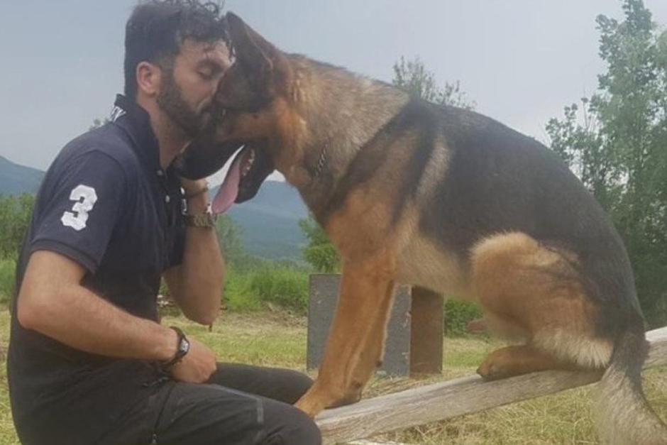 El perro se gan&oacute; el coraz&oacute;n de miles, ya que rescat&oacute; a decenas de personas y particip&oacute; en diversos operativos. Se desconoce por qu&eacute; fue envenenado. (Foto: Agencias)