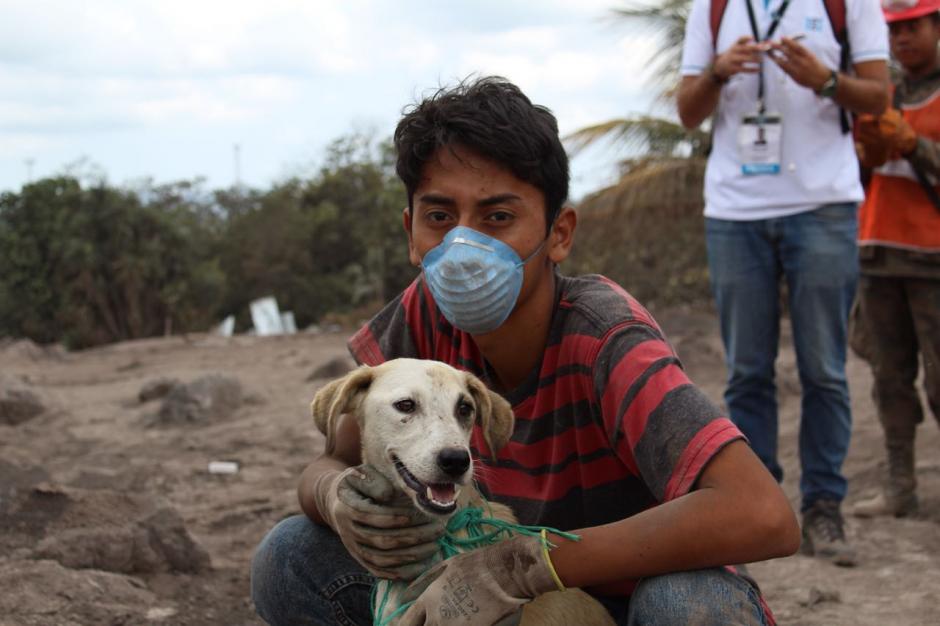 Las personas siguen ingresando al &aacute;rea para ubicar a fallecidos y animales. (Foto: Josu&eacute; Ram&iacute;rez/Soy502)&nbsp;