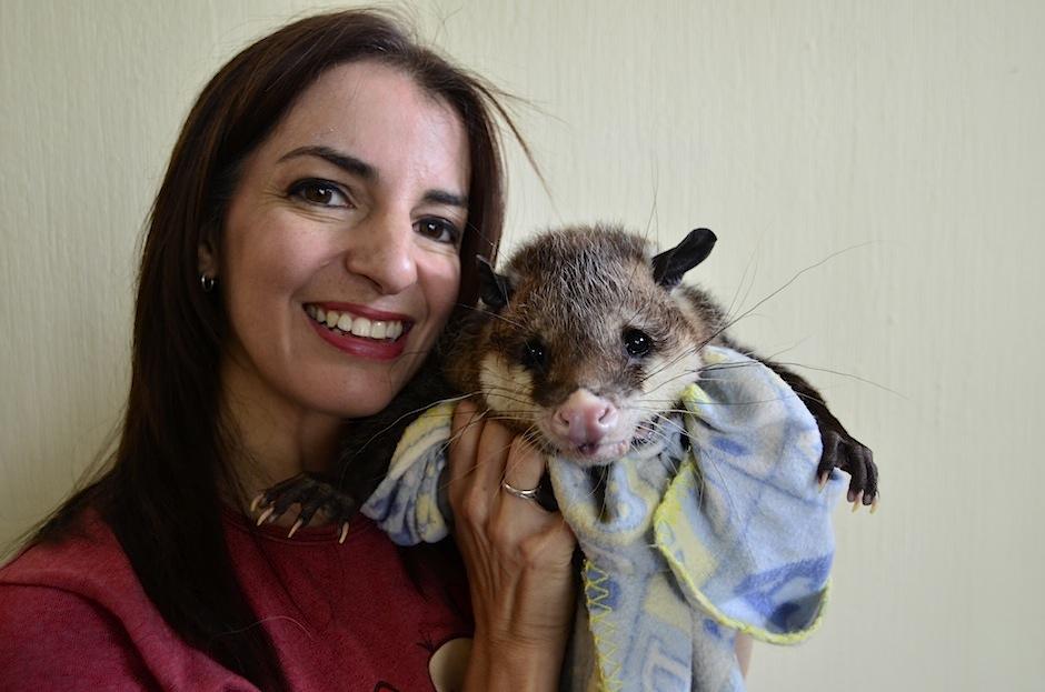 Johnny Zarig&uuml;eya desea que conozcas m&aacute;s acerca de su especie. (Foto: Selene Mej&iacute;a/Soy502)