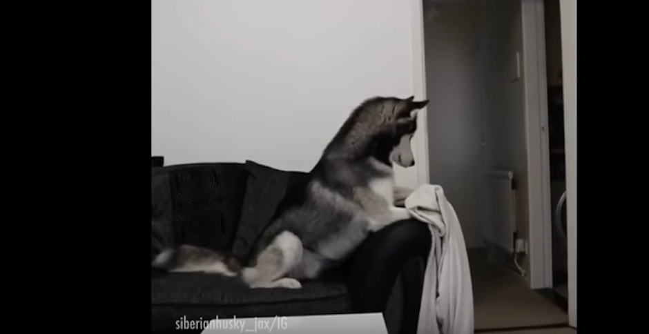 El nuevo desaf&iacute;o de las redes sociales est&aacute; causando revuelo. (Foto: captura de pantalla)&nbsp;