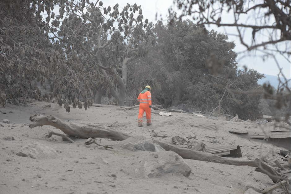 La tragedia afect&oacute; la agricultura, ganader&iacute;a y turismo del &aacute;rea del volc&aacute;n. (Foto: Wilder L&oacute;pez/Soy502)