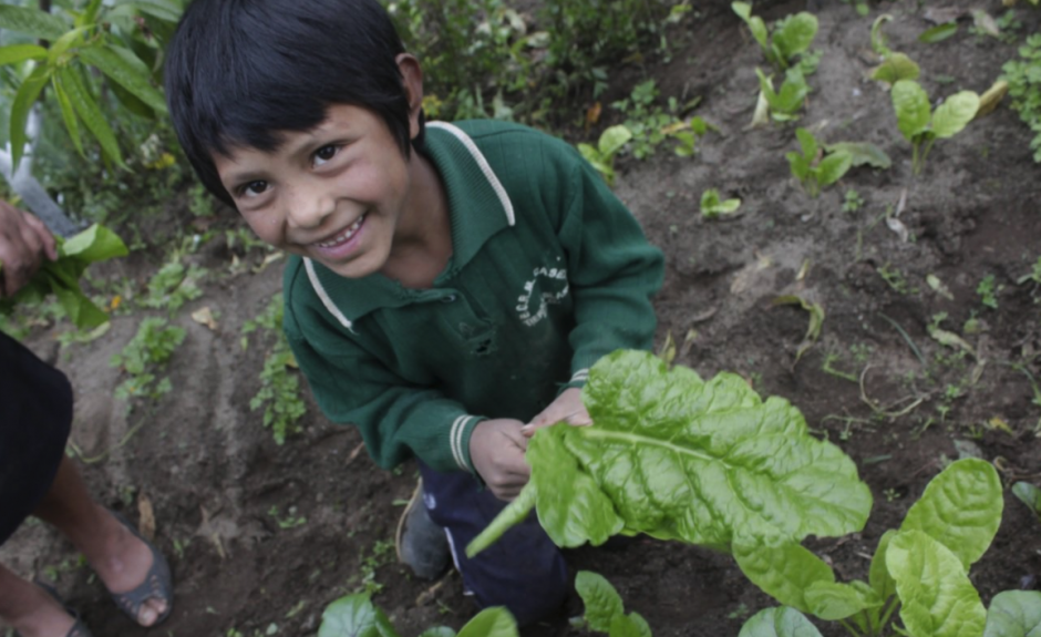 El programa ejecut&oacute; 3.5 millones de d&oacute;lares durante dos a&ntilde;os. (Foto: OPS)