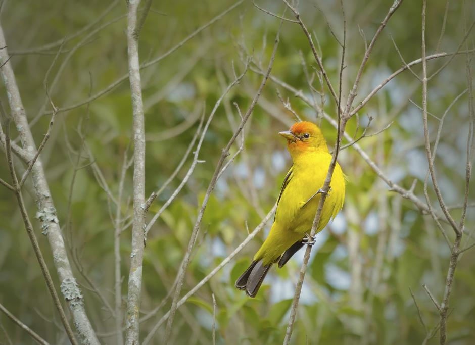 Esta actividad ha crecido en los &uacute;ltimos 10 a&ntilde;os en Guatemala, un pa&iacute;s que busca posicionarse a nivel mundial en este segmento tur&iacute;stico. (Foto: Jorge Rojas/Soy502)