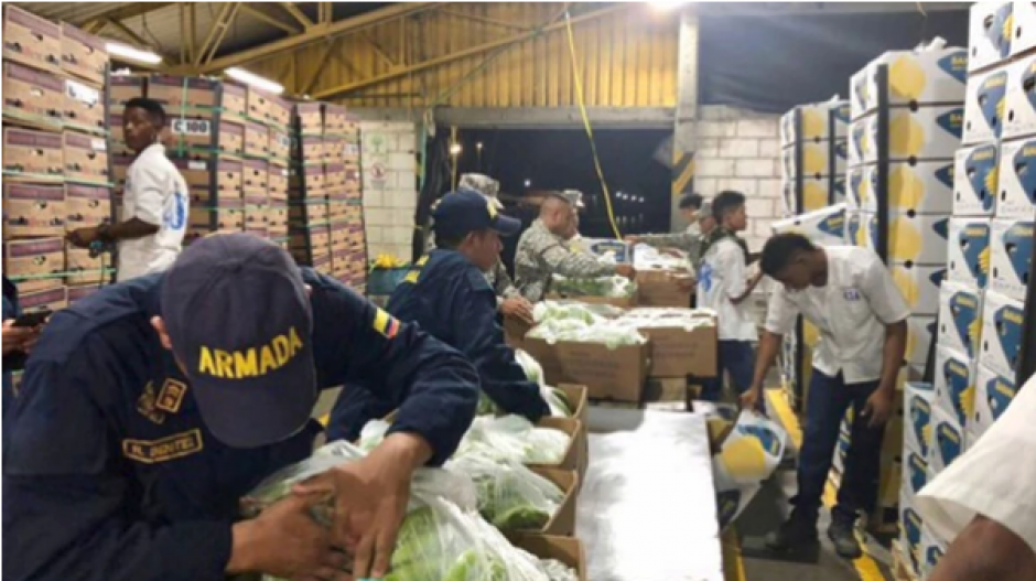 Los agentes utilizaron varios perros para encontrar el cargamento ilegal escondido entre las frutas. (Foto: Infobae)