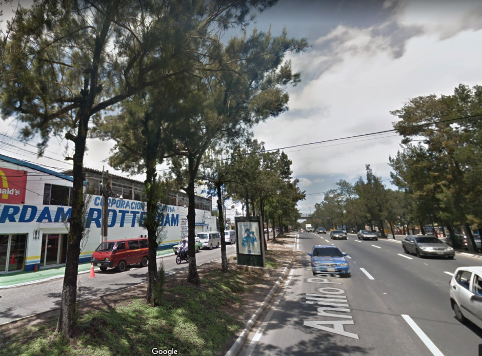 El gato se encuentra en la copa de un &aacute;rbol frente a este centro educativo de la zona 7. (Foto: Google Maps)