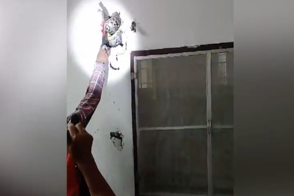 La serpiente med&iacute;a m&aacute;s de cuatro metros de largo y posiblemente entr&oacute; al lugar por un agujero de la pared. (Imagen: captura de pantalla)