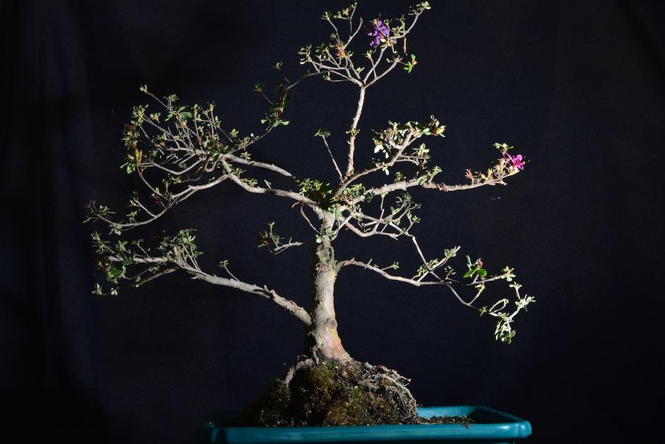 El evento se lleva a cabo en Museo Miraflores el 17 y 18 de marzo de 9 de la ma&ntilde;ana a 7 de la noche. (Foto: Jes&uacute;s Alfonso/Soy502)