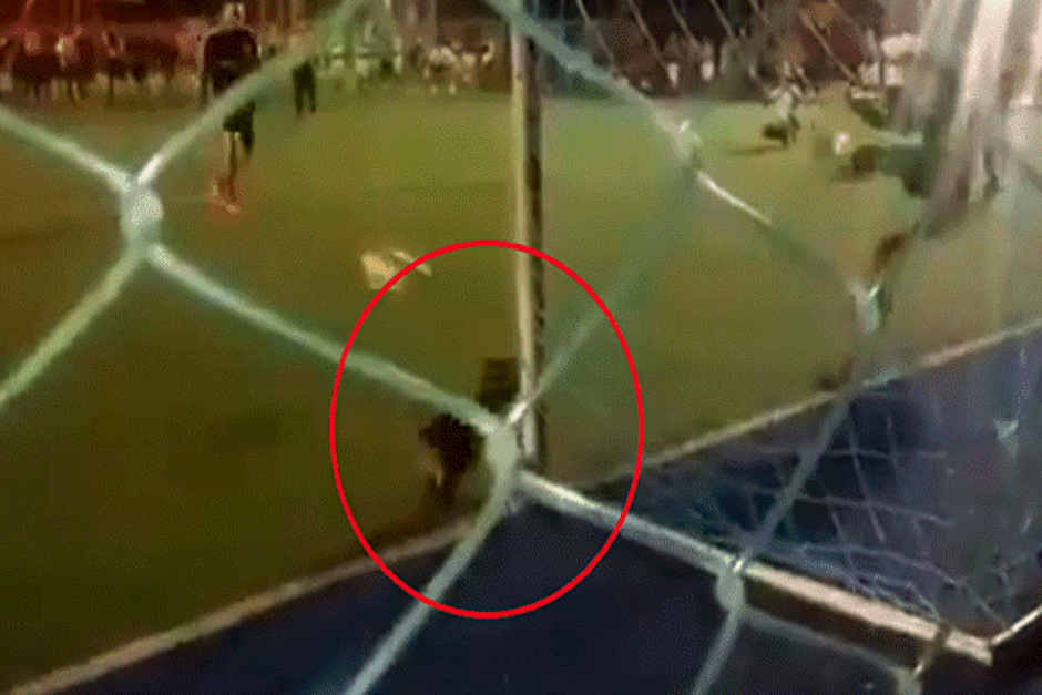 El perro se atraves&oacute; frente a la porter&iacute;a justo en el momento en que un jugador lanzaba un penal. (Foto: Facebook)