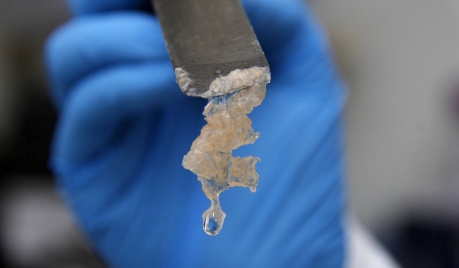 Guatemalteca diseñó un filtro con restos de crustáceos. (Foto: Jorge Rodríguez/El País)