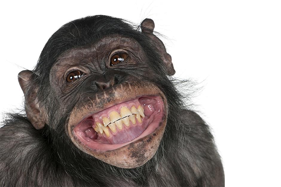 El D&iacute;a Mundial de la Sonrisa se celebra el primer viernes de octubre. (Foto: archivo)