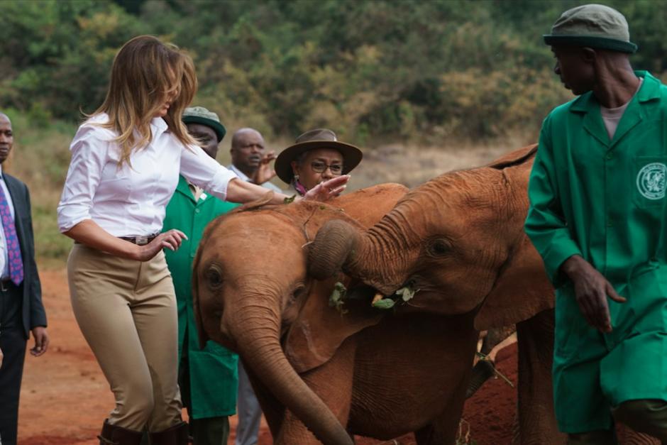 La Primera Dama de los Estados Unidos visit&oacute; un orfanato de elefantes en donde vivi&oacute; el inc&oacute;modo episodio. (Foto: Business Insider)