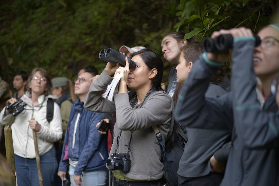 Los barrancos de Guatemala celebraron el "October Big Day", d&iacute;a de avistamiento de aves a nivel mundial. (Foto: Wilder L&oacute;pez/Soy502)&nbsp;