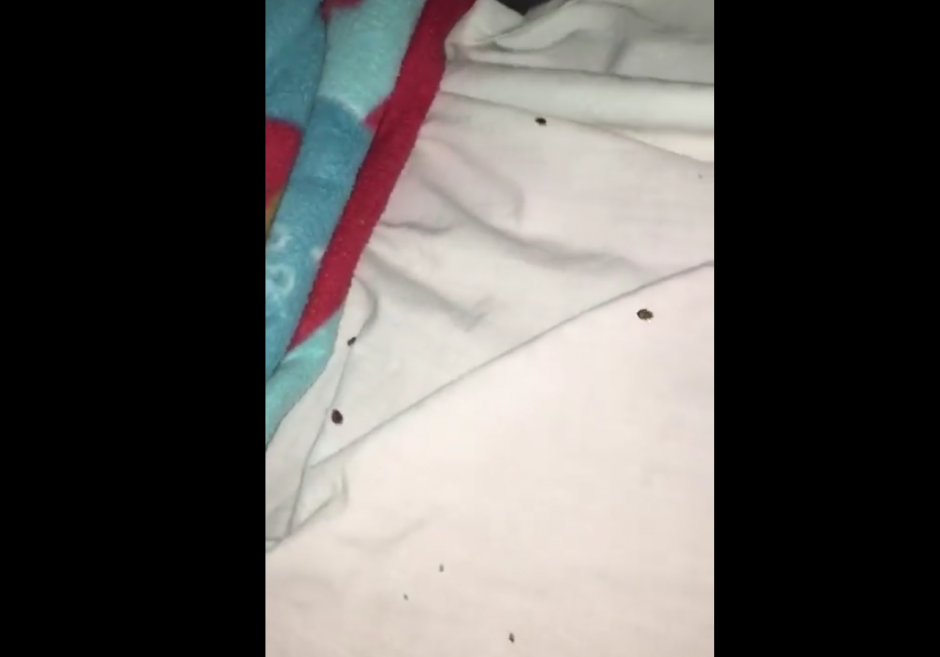 El video se comparte en redes sociales. (Foto: captura de pantalla)&nbsp;