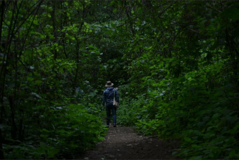 Chajil Siwan es un Parque Ecológico con árboles de más de 300 años. (Foto: Roberto Caubilla/Soy502)