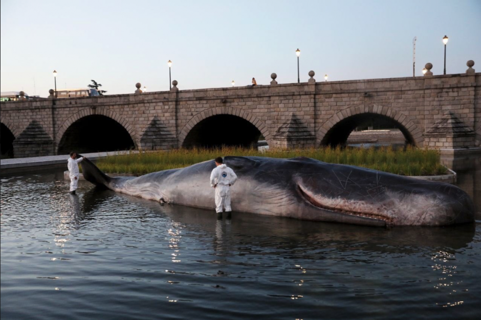 El "animal" es en realidad una exposici&oacute;n de arte. (Foto:&nbsp;@Pablo_Lion/Twitter)