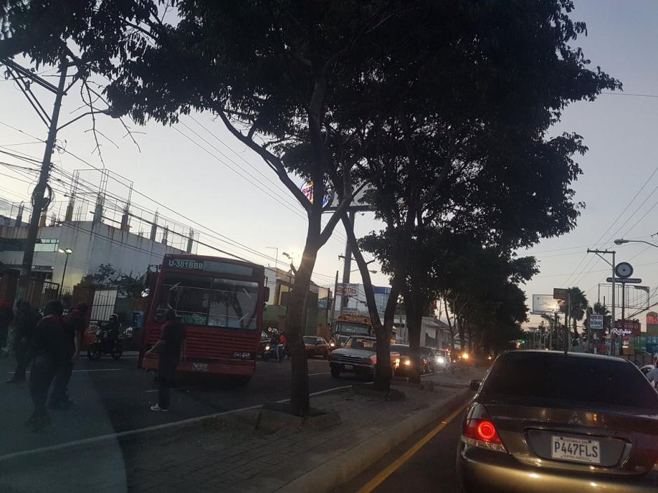 El tráfico del lugar hizo que el ayudante de un bus derribara un árbol para agilizar el paso. (Foto: Twitter/@Col8n)