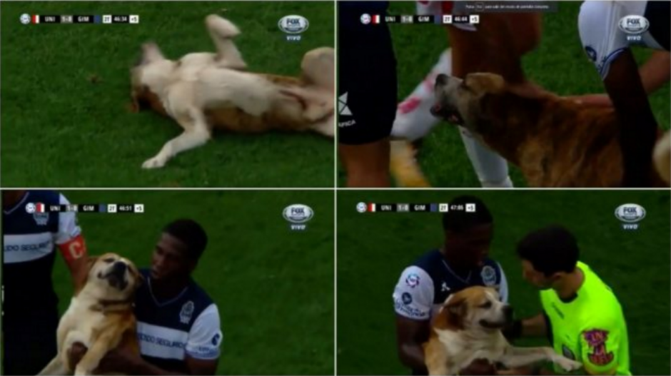 El video volvi&oacute; a ser compartido en redes sociales. (Foto: captura pantalla)&nbsp;