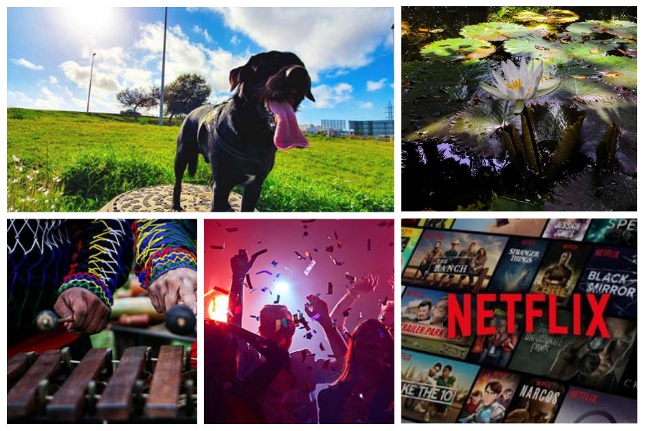 Mira aqu&iacute; las mejores ideas y no desaproveches tus tres d&iacute;as seguidos de descanso. (Fotos:Instagram)