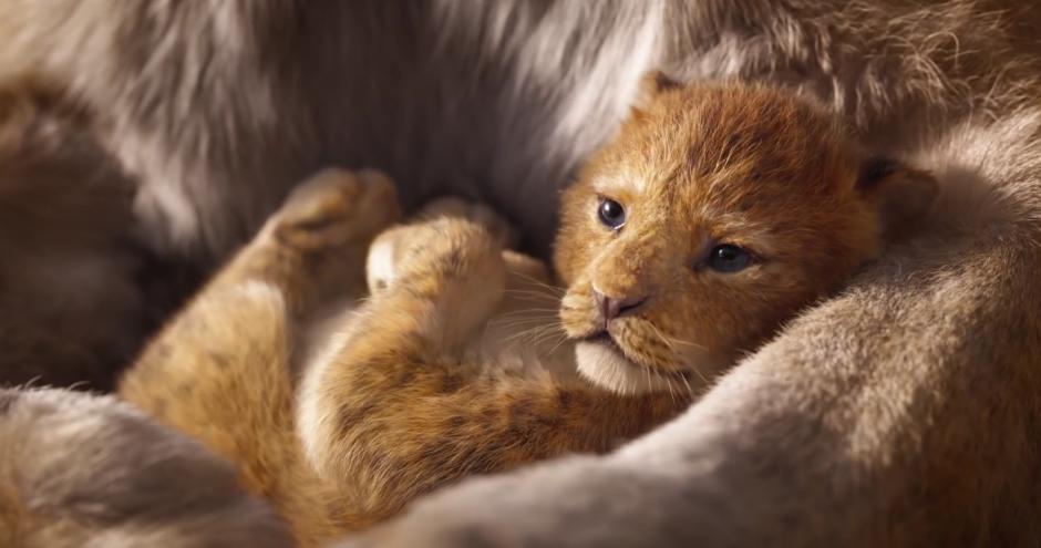 Im&aacute;genes in&eacute;ditas de el Rey Le&oacute;n fueron publicadas por Entertainment Weekly. (Foto: Disney)&nbsp;