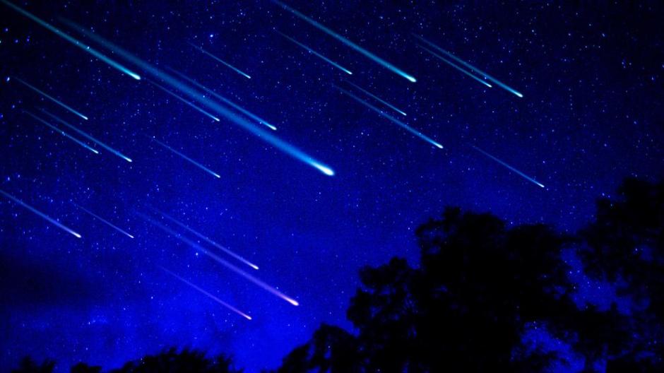 No creer&aacute;s qu&eacute; animalito le arruin&oacute; las mejores im&aacute;genes a la NASA. (Foto:PerseidasInstagram)