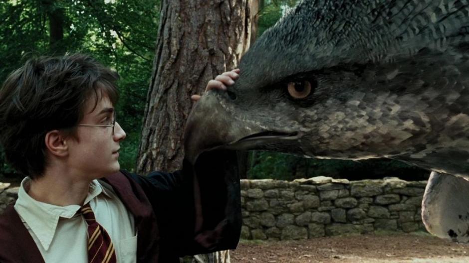 Solo hay 2 mil 500 especies en todo el mundo. Principalmente viven en Tanzania, Ruanda y Uganda. (Foto: Antena 3).