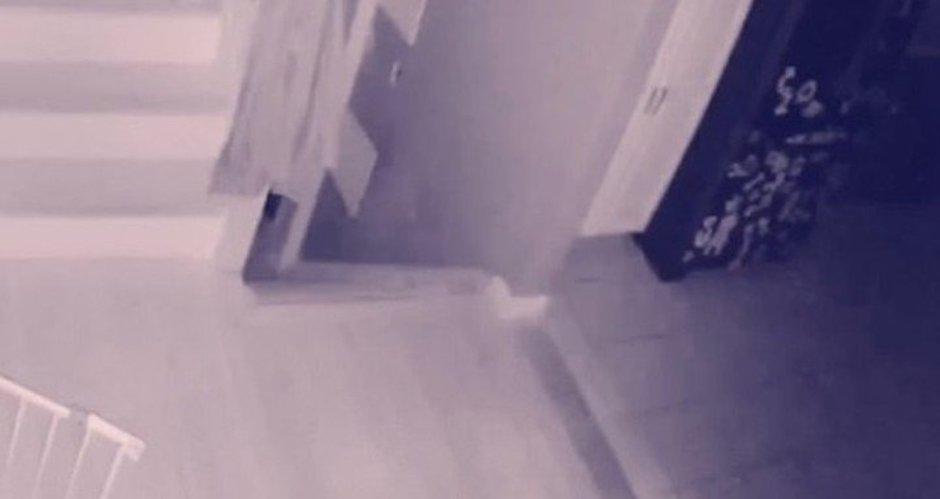 Hombre capt&oacute; en video el fantasma de un ni&ntilde;o jugando con su mascota. (Foto: captura de pantalla)