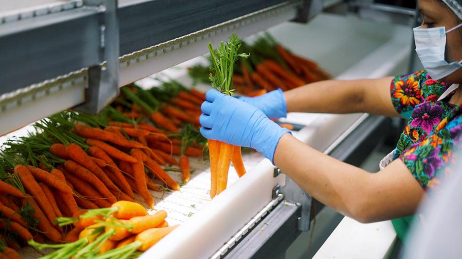 Grupo Detpon cumple 27 a&ntilde;os de exportaci&oacute;n en el sector agro. (Foto: cortes&iacute;a)