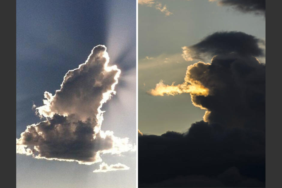 Im&aacute;genes se viralizan por mostrar siluetas cachorros. (Fotograf&iacute;as ilustrativas)